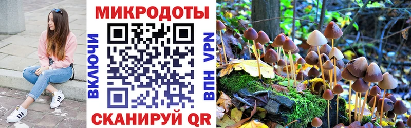 Галлюциногенные грибы MAGIC MUSHROOMS  Алзамай 